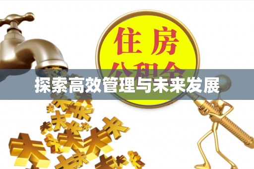 盈江探索高效管理与未来发展