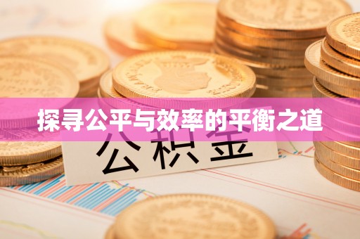 盈江探寻公平与效率的平衡之道