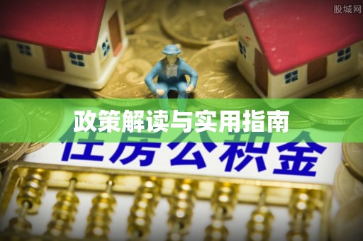 盈江政策解读与实用指南