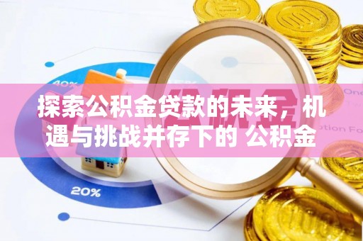 盈江探索公积金贷款的未来，机遇与挑战并存下的 公积金贷款风险防控