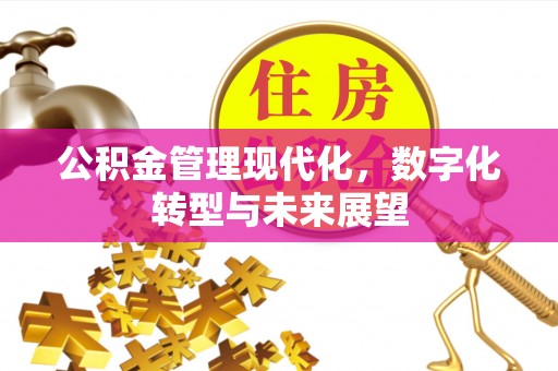 盈江公积金管理现代化，数字化转型与未来展望