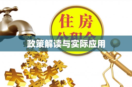 盈江政策解读与实际应用