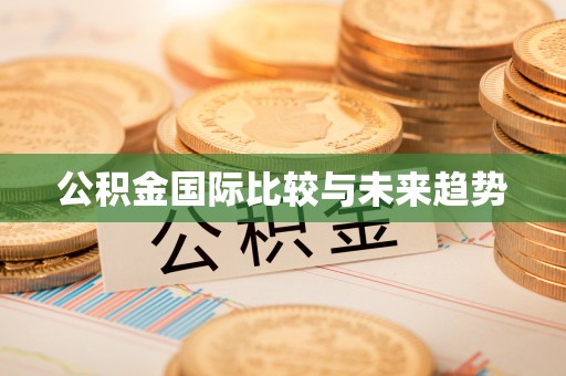 盈江公积金国际比较与未来趋势