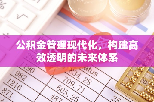 盈江公积金管理现代化，构建高效透明的未来体系