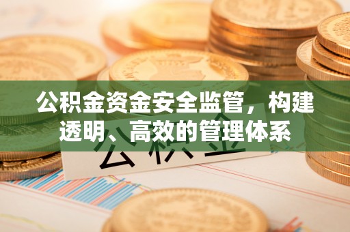盈江公积金资金安全监管，构建透明、高效的管理体系