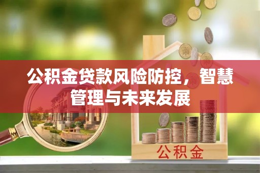 盈江公积金贷款风险防控，智慧管理与未来发展