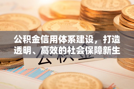 盈江公积金信用体系建设，打造透明、高效的社会保障新生态