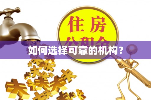 盈江如何选择可靠的机构？