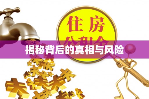 盈江揭秘背后的真相与风险