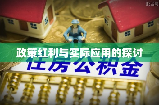 盈江政策红利与实际应用的探讨