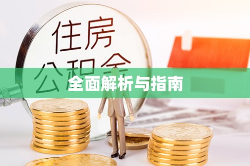 盈江全面解析与指南