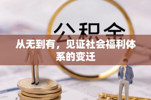 盈江从无到有，见证社会福利体系的变迁
