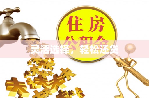 盈江灵活选择，轻松还贷