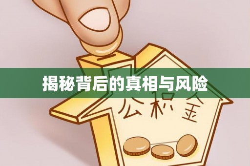 盈江揭秘背后的真相与风险