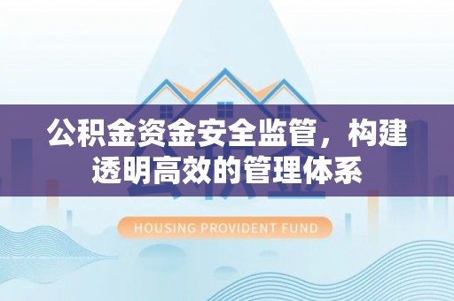 盈江公积金资金安全监管，构建透明高效的管理体系