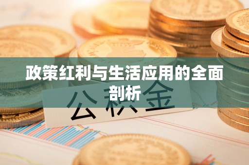 盈江政策红利与生活应用的全面剖析
