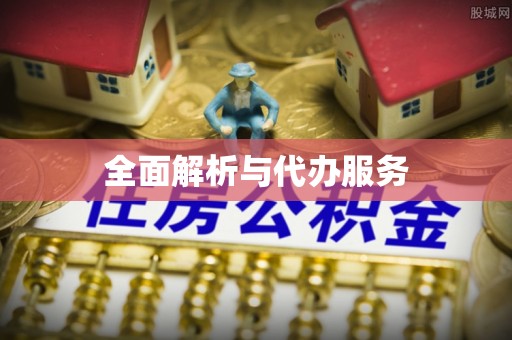 盈江全面解析与代办服务