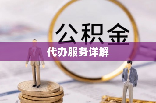 盈江代办服务详解