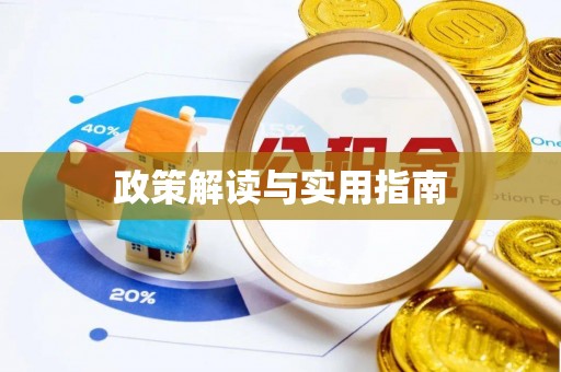 盈江政策解读与实用指南