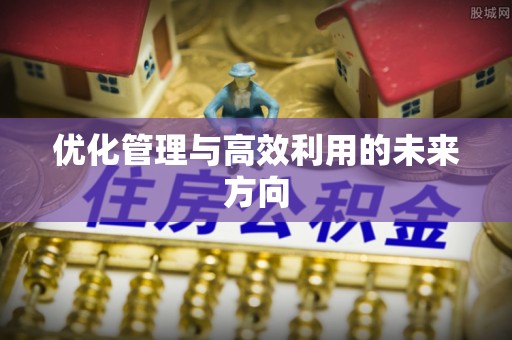 盈江优化管理与高效利用的未来方向