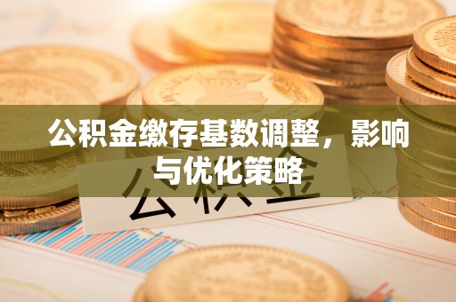 盈江公积金缴存基数调整，影响与优化策略