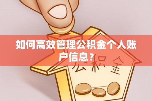 盈江如何高效管理公积金个人账户信息？