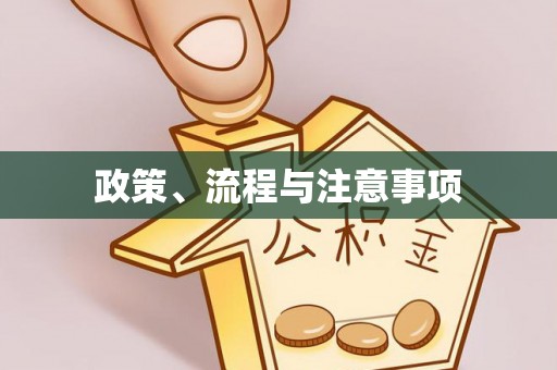 盈江政策、流程与注意事项