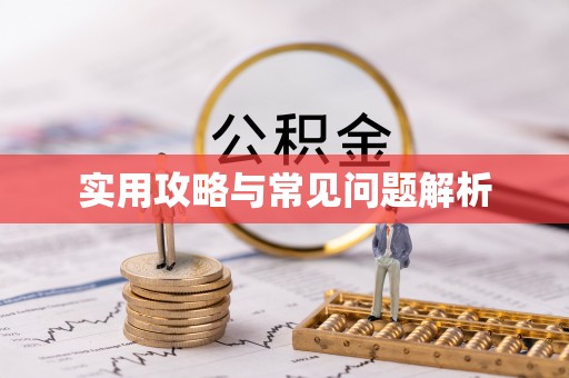 盈江实用攻略与常见问题解析