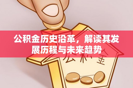 盈江公积金历史沿革，解读其发展历程与未来趋势