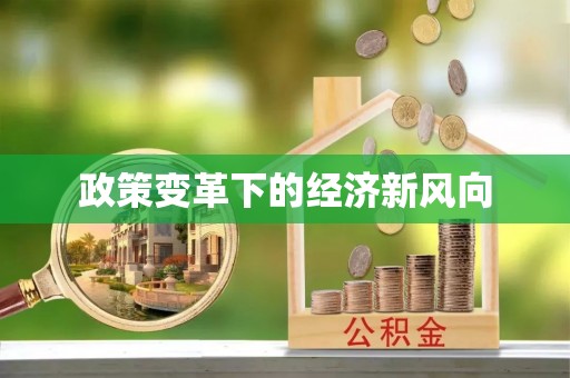 盈江政策变革下的经济新风向