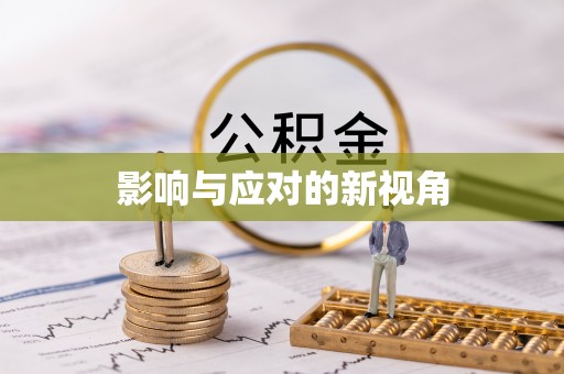 盈江影响与应对的新视角