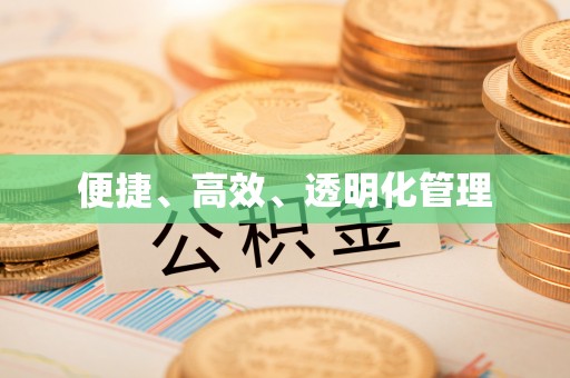 盈江便捷、高效、透明化管理