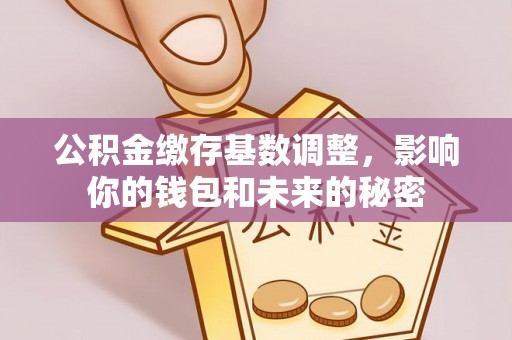 盈江公积金缴存基数调整，影响你的钱包和未来的秘密