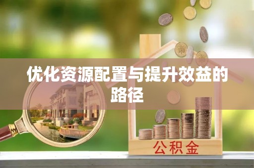 盈江优化资源配置与提升效益的路径
