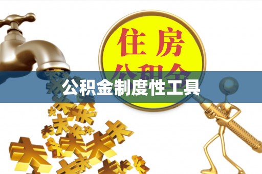 盈江公积金制度性工具
