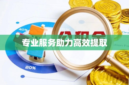 盈江专业服务助力高效提取