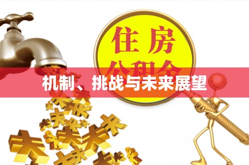 盈江机制、挑战与未来展望