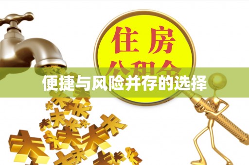 盈江便捷与风险并存的选择