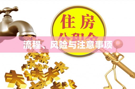 盈江流程、风险与注意事项
