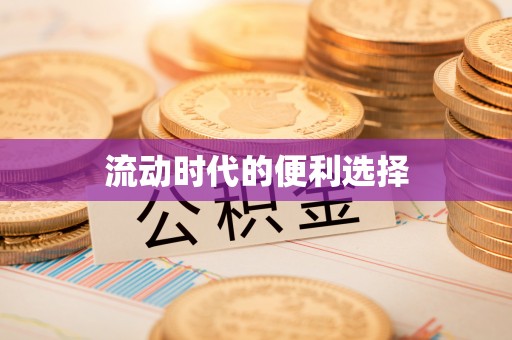 盈江流动时代的便利选择