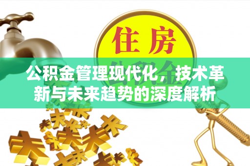 盈江公积金管理现代化，技术革新与未来趋势的深度解析